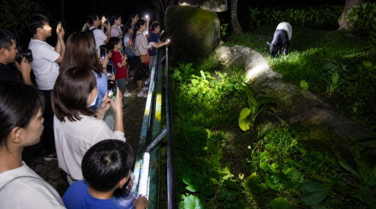 【7月4-5日（土・日曜日）限定催行】 夜の動物園探検へ！「Zoo Negara（ズー ネガラ）」で楽しむ 1泊2日キャンプ体験